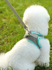 1 Set Correa y Arnés Reflectante para Gatos y Perros - Chaleco de Malla Transpirable con Correa de Nailon Acolchada, Adecuado para Razas Pequeñas a Medianas; Collar para Mascotas - Diseño Anti-Ahogo con Doble Argolla en D - Multicolor - Ver 7