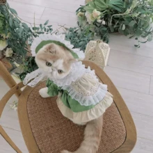1pc Pet Lace Floral Dress (Excluding Hat), Cute Spring/Summer Dress For Dogs & Cats - Green - View 2