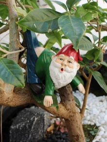 可爱悬挂式矮生花盆装饰套装，树脂材质，仙境花园装饰，独特园艺礼物，盆景装饰，生日礼物，或送给她的/他的礼物 - B - 查看 6