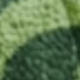 Patrón 1 - Verde