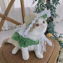 1pc Pet Lace Floral Dress (Excluding Hat), Cute Spring/Summer Dress For Dogs & Cats - Green - View 3