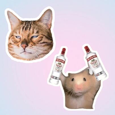 Pegatina de gato sarcástico | Pegatina de cara malhumorada | Pegatina personalizada para botella de agua, pegatina de hámster sosteniendo una botella | Pegatina de expresión de borracho divertida | Pegatina de vinilo resistente al agua para botella de agua, equipaje - Superficie mate duradera, pegatina autoadhesiva para parachoques, adecuada para coche, ventana, portátil, camión, furgoneta, botella de agua - Diseño duradero y multiusos, pegatina para coche