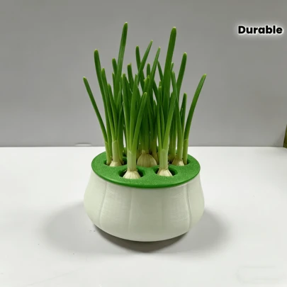 一套大蒜和韭菜水培再生套装，家用种植黑白盖套装，适用于水培种植 - 室内厨房种植 - 家庭种植 - 植物繁殖站，耐用塑料无土盒，操作简便，可连续收获。全年种植，可重复使用的大蒜种植盒。