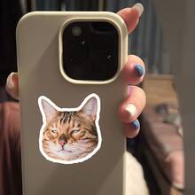 Sarcastic Cat Sticker | Grumpy Face Sticker | Personalized Sticker For Water Bottle, Hamster Holding Bottle Sticker | Funny Drunkard Expression Sticker | Waterproof Vinyl Sticker For Water Bottle, Luggage - Durable Matte Surface, Self-Adhesive Bumper Sticker, Suitable For Car, Window, Laptop, Truck, Van, Water Bottle - Multipurpose Durable Design, Car Sticker - Vinyl - View 6