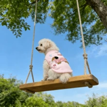 1pc Pet Vest, Cartoon Pattern Dog Vest Striped Pattern Breathable Cat Vest Breathable Pet Vest, Lightweight Polyester Material Soft Breathable Cute Bow Pattern Cat Vest Dog Vest, Suitable For Medium And Small Cats And Dogs - Multicolor - View 5