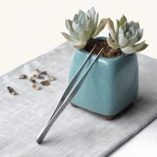 Bộ 2 nhíp thép không gỉ - Kích thước 20cm/7.87in, lý tưởng cho việc chăm sóc cây mọng nước và cây trồng trong chậu, dụng cụ làm vườn đầu thẳng và đầu cong, dùng để trồng và thay chậu - Thiết kế chính xác và tiện dụng, phù hợp cho công việc tỉ mỉ (sử dụng trong nhà/ngoài trời) - A - Xem 2