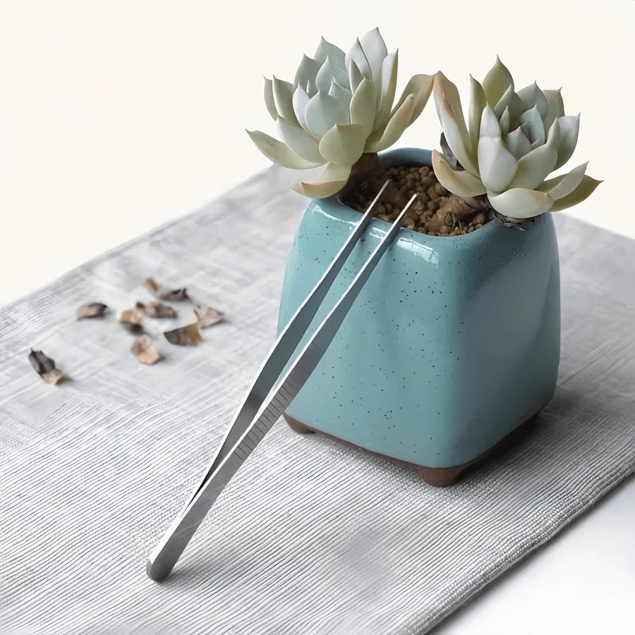 Bộ 2 nhíp thép không gỉ - Kích thước 20cm/7.87in, lý tưởng cho việc chăm sóc cây mọng nước và cây trồng trong chậu, dụng cụ làm vườn đầu thẳng và đầu cong, dùng để trồng và thay chậu - Thiết kế chính xác và tiện dụng, phù hợp cho công việc tỉ mỉ (sử dụng trong nhà/ngoài trời)