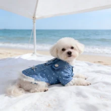 New Spring/Summer Pet Dress - Polka Dot Denim Dog Dress With Leash Ring, Suitable For Small To Medium Dogs - Multicolor - View 5