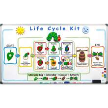 Cute Felt Children's Set! Life Cycle Teaching Tool, Story Props - Handmade Educational Supplies - Multicolor - View 8