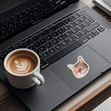 Sarcastic Cat Sticker | Grumpy Face Sticker | Personalized Sticker For Water Bottle, Hamster Holding Bottle Sticker | Funny Drunkard Expression Sticker | Waterproof Vinyl Sticker For Water Bottle, Luggage - Durable Matte Surface, Self-Adhesive Bumper Sticker, Suitable For Car, Window, Laptop, Truck, Van, Water Bottle - Multipurpose Durable Design, Car Sticker - Vinyl - View 9