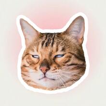 Sarcastic Cat Sticker | Grumpy Face Sticker | Personalized Sticker For Water Bottle, Hamster Holding Bottle Sticker | Funny Drunkard Expression Sticker | Waterproof Vinyl Sticker For Water Bottle, Luggage - Durable Matte Surface, Self-Adhesive Bumper Sticker, Suitable For Car, Window, Laptop, Truck, Van, Water Bottle - Multipurpose Durable Design, Car Sticker - Vinyl - View 15