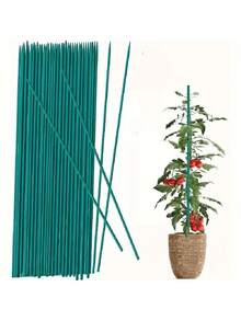 10/30/60 件装绿色竹制植物支架，室内园艺木制花卉支撑杆，木制花园标牌支架 - A - 查看 8