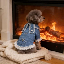 New Spring/Summer Pet Dress - Polka Dot Denim Dog Dress With Leash Ring, Suitable For Small To Medium Dogs - Multicolor - View 3