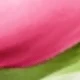 彩色