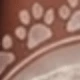 Paw Prints