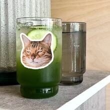 Sarcastic Cat Sticker | Grumpy Face Sticker | Personalized Sticker For Water Bottle, Hamster Holding Bottle Sticker | Funny Drunkard Expression Sticker | Waterproof Vinyl Sticker For Water Bottle, Luggage - Durable Matte Surface, Self-Adhesive Bumper Sticker, Suitable For Car, Window, Laptop, Truck, Van, Water Bottle - Multipurpose Durable Design, Car Sticker - Vinyl - View 8