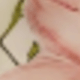 彩色