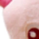Rosa 2