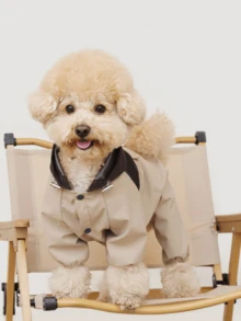 宠物雨衣：防水防尘，全天候（晴天/雨天）四脚工作服，适合小型和中型犬 - 撞色设计防风外套，TPU防水透气面料，领口可连接胸背带/牵引绳，便捷按扣，弹性袖口和裆部 - 彩色 - 查看 3