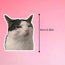 Nhãn dán mèo khó chịu, nhãn dán biểu cảm mèo hài hước và châm biếm, nhãn dán cá nhân hóa cho bình nước, hành lý, nhãn dán lỗi hệ thống XP cổ điển, nhãn dán hài hước "Nhiệm vụ thất bại thành công", đồ trang trí hài hước dành cho lập trình viên, nhãn dán vinyl chống thấm nước - bề mặt mờ bền, nhãn dán tự dính, thích hợp cho ô tô, cửa sổ, máy tính xách tay, xe tải, xe van, bình nước - thiết kế bền đa năng, nhãn dán xe hơi - đĩa than - Xem 3