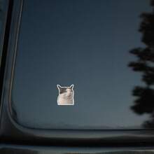 Nhãn dán mèo khó chịu, nhãn dán biểu cảm mèo hài hước và châm biếm, nhãn dán cá nhân hóa cho bình nước, hành lý, nhãn dán lỗi hệ thống XP cổ điển, nhãn dán hài hước "Nhiệm vụ thất bại thành công", đồ trang trí hài hước dành cho lập trình viên, nhãn dán vinyl chống thấm nước - bề mặt mờ bền, nhãn dán tự dính, thích hợp cho ô tô, cửa sổ, máy tính xách tay, xe tải, xe van, bình nước - thiết kế bền đa năng, nhãn dán xe hơi - đĩa than - Xem 9