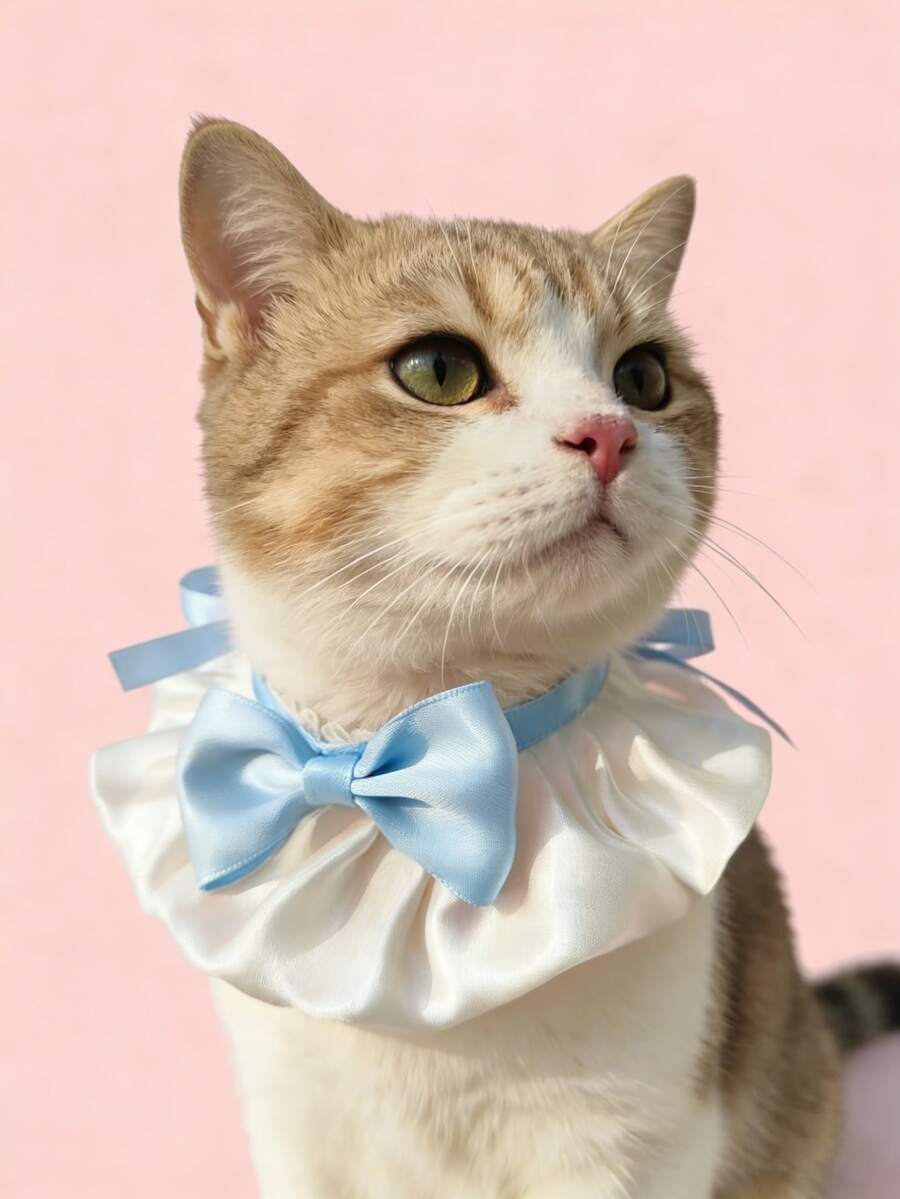 Adjustable Pet Bow Tie Collar, Cute Cat Dog Saliva Bib Photo Prop Accessory - Blue and White - View 1