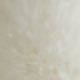 trắng