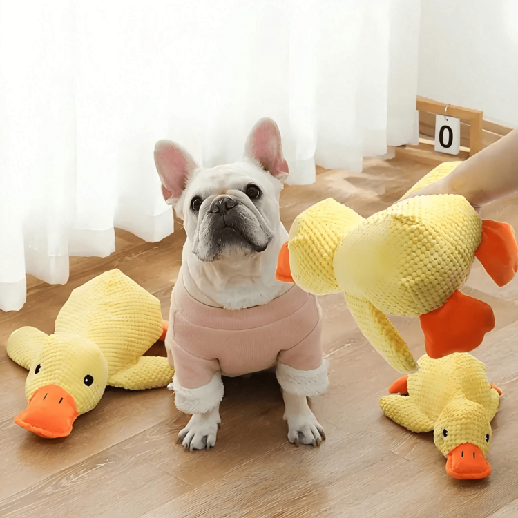 1pc Plush Squeaky Duck Dog Toy, Chew Resistant Teething Toy For Small/Medium Dogs, Pet Supplies - Multicolor - View 7