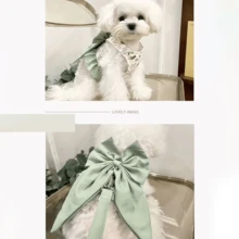 1件可爱领结宠物户外胸背带牵引绳，适用于贵宾犬、泰迪犬、猫和狗 - 彩色 - 查看 7