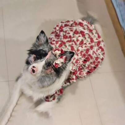 1 chiếc váy hoa hồng đỏ cho thú cưng, dành cho chó cỡ trung bình/lớn, phù hợp với các giống chó Border Collie, Labrador, Golden Retriever, Samoyed.