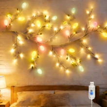 1个，5.2英尺72颗LED人造复活节树枝灯，USB供电，8种闪烁模式，柔软可弯曲，彩蛋花环，春季壁炉架装饰，DIY装饰灯，复活节彩蛋花环，春季壁炉架、桌子、门装饰 - 暖白光 - 查看 5