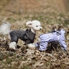 一件时尚轻便防风防水宠物外套，适合泰迪犬、马尔济斯犬和其他宠物穿着 - 灰色 - 查看 3