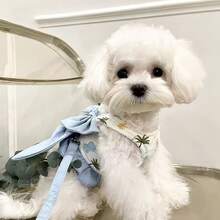 1件可爱领结宠物户外胸背带牵引绳，适用于贵宾犬、泰迪犬、猫和狗 - 彩色 - 查看 3