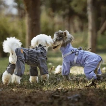 一件时尚轻便防风防水宠物外套，适合泰迪犬、马尔济斯犬和其他宠物穿着 - 灰色 - 查看 2