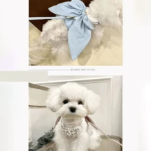 1件可爱领结宠物户外胸背带牵引绳，适用于贵宾犬、泰迪犬、猫和狗 - 彩色 - 查看 6