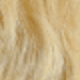 S613