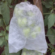 100 Peças Sacos de Produção de Cor Sólida de Alta Densidade com Cordão, Sacos de Produção Reutilizáveis de Tela, Sacos de Frutas, Sacos de Presente para Uvas, Maçãs, Pomelos, Plantas, Flores, Vegetais, Árvores - Ideal para Cobertura de Pragas de Jardinagem, Rede de Jardim, Fechamento com Cordão, Sacos de Frutas (29X19CM) - 100 unidades - Visão 7