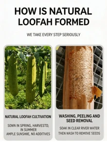 Hot Natural Loofah Dish Brush, Kitchen Cleaning Scrubber, Non-Scratch Loofah Sponge For Pot & Pan Washing, Durable & Easy Decontamination - A - View 5