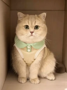 1件猫狗夏季薄款polo衫，翻领T恤，适合曼基康猫、英国短毛猫等，可爱宠物背心，防掉毛 - 白色 - 查看 9