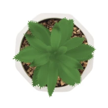 Ceramic Vase Set With Succulent Plant, Decorative Cachepot, Table Decoration - 1 maceta pequeña CON una planta - Ver 10