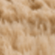 Cammello