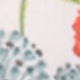 彩色
