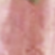 Coral Pink