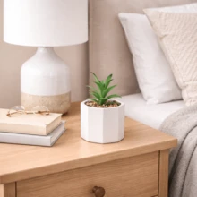 Kit Vasos de Cerâmica com Planta Suculenta Cachepot Vasinho Decorativo Decoração Mesa - 2 Vasinhos COM Planta - Visão 6