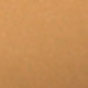Màu Khaki