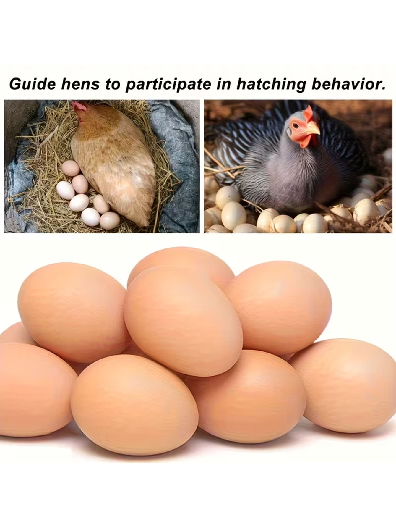 Plastic Simulated Hen Laying Egg Model | Non-Toy Hollow Design, Fully Enclosed Protection, Specially Designed To Guide Chicks Laying Eggs, Accessory - Multicolor - View 1
