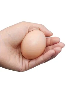 Plastic Simulated Hen Laying Egg Model | Non-Toy Hollow Design, Fully Enclosed Protection, Specially Designed To Guide Chicks Laying Eggs, Accessory - Multicolor - View 6