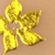 金色