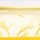 Hyaluronic Acid