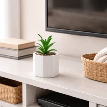 Kit Vasos de Cerâmica com Planta Suculenta Cachepot Vasinho Decorativo Decoração Mesa - 2 Vasinhos COM Planta - Visão 4